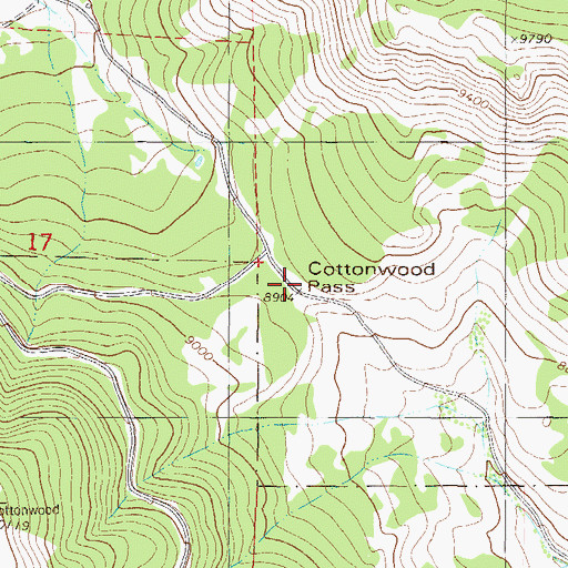 Topographic Map of Cottonwood Pass, CO