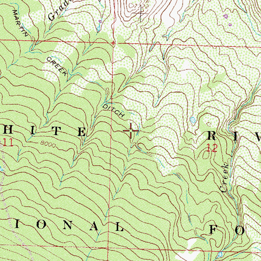 Topographic Map of Martin Creek Ditch, CO