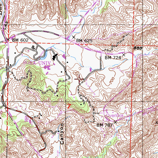 Topographic Map of Old Rex Allen Ranch, CA