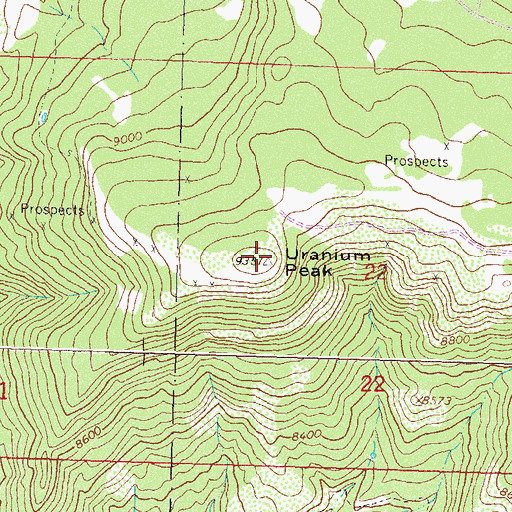 Topographic Map of Uranium Peak, CO
