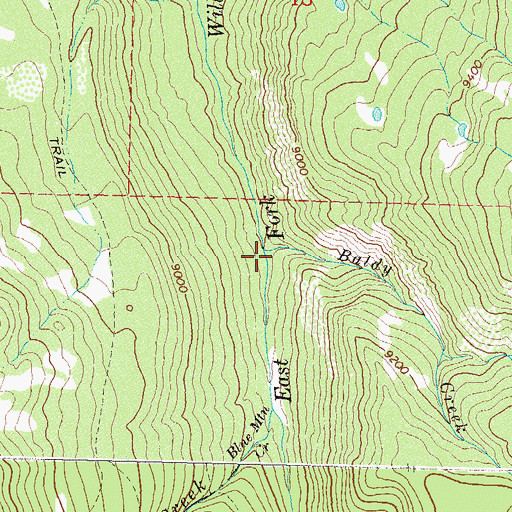 Topographic Map of Baldy Creek, CO
