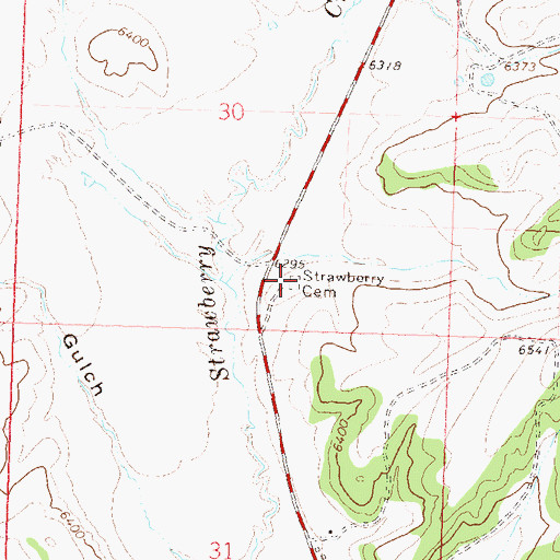 Topographic Map of Strawberry Creek Cemetery, CO