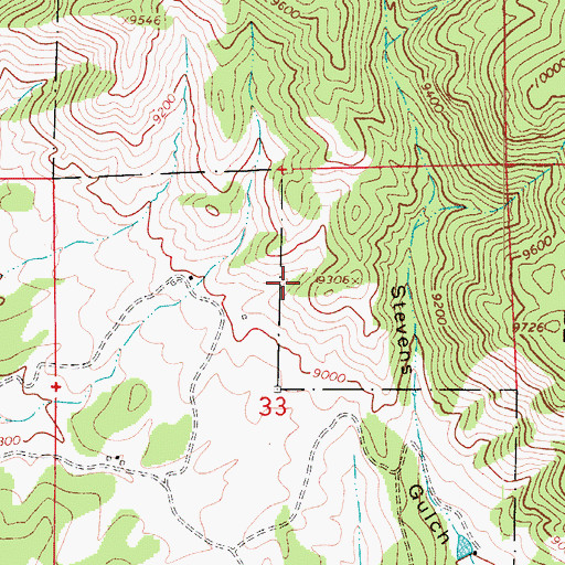 Topographic Map of Wild Girl Mine, CO