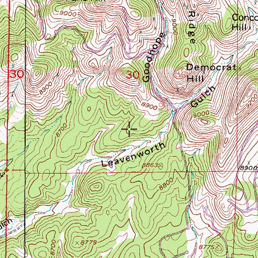 Topographic Map of Democrat Mine, CO