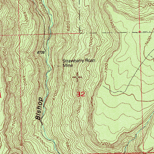 Topographic Map of Lone Peak Mine, CO