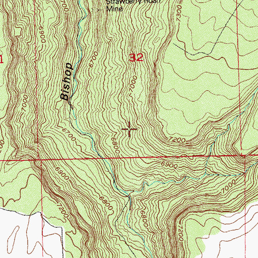 Topographic Map of Bishop Canyon Mine, CO