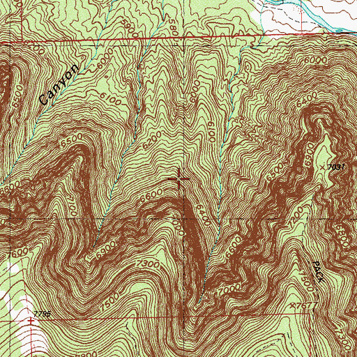 Topographic Map of Buckhorn Mine, CO