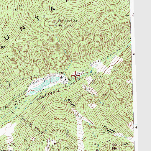 Topographic Map of Rico Argentine Mining Company Mine, CO