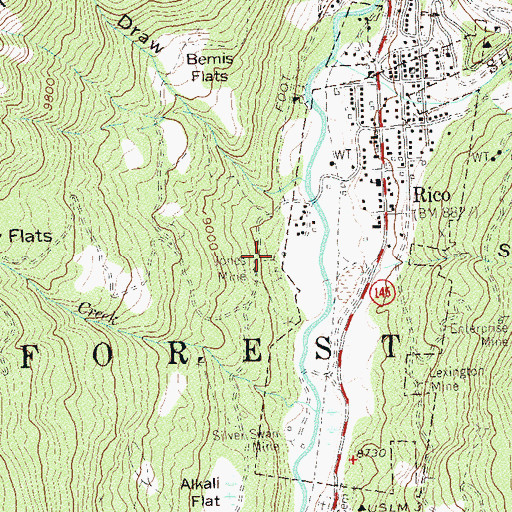 Topographic Map of Rico Boy Mine, CO