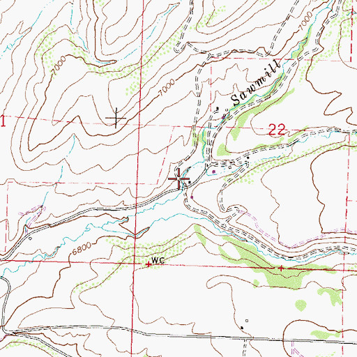 Topographic Map of Cottonwood Creek, CO