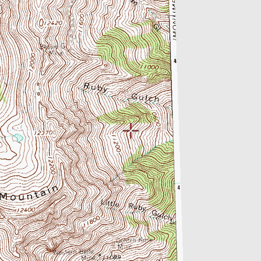 Topographic Map of Ruby Mine, CO