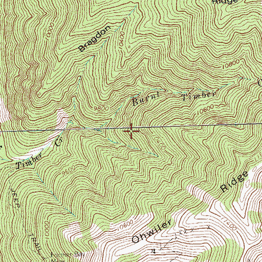 Topographic Map of Mammoth Mine, CO