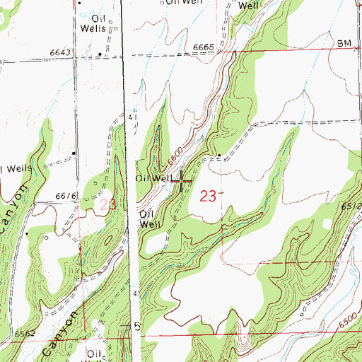 Topographic Map of Pruitt Mine, CO