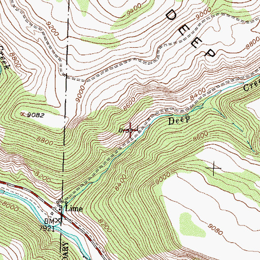 Topographic Map of Blue Bird Mine, CO