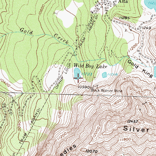 Topographic Map of Porcupine Mine, CO