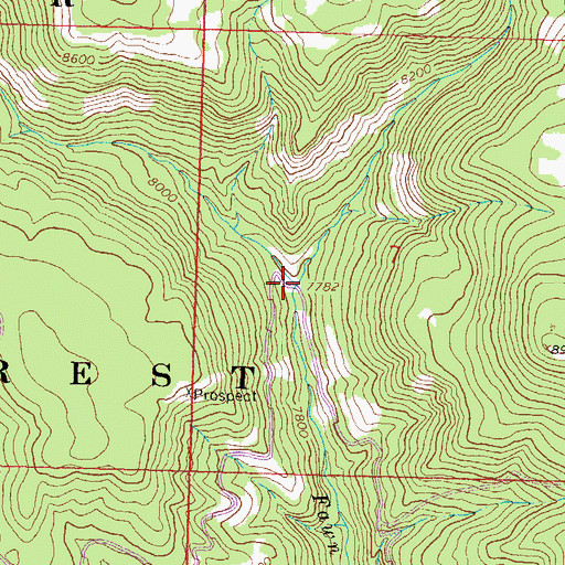 Topographic Map of East Fork Fawn Creek, CO