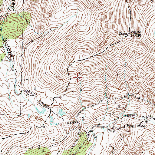 Topographic Map of Buck Run Mine, CO