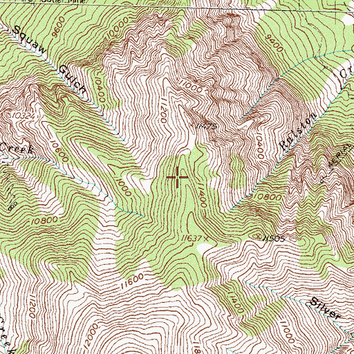 Topographic Map of Excelsior Mine, CO