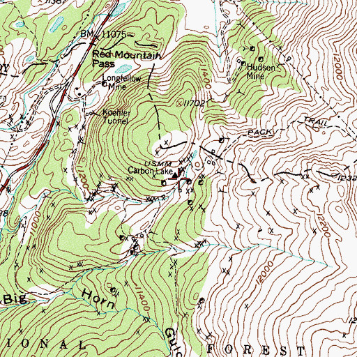Topographic Map of Congress Mine, CO