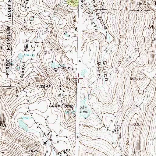 Topographic Map of Picket Mine, CO