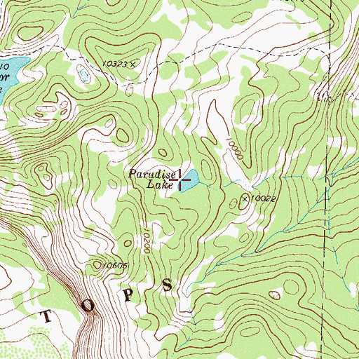 Topographic Map of Paradise Lake, CO