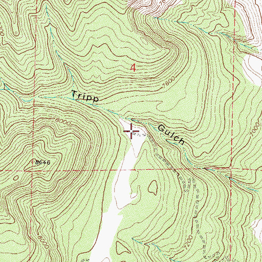 Topographic Map of Tripp Gulch Mine, CO