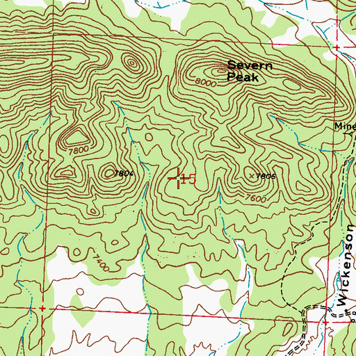 Topographic Map of Palmer Mine, CO