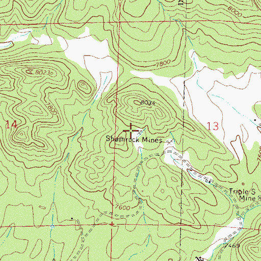 Topographic Map of Shamrock Mine, CO