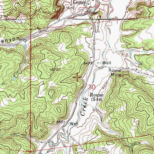 Topographic Map of New Rouse Mine, CO
