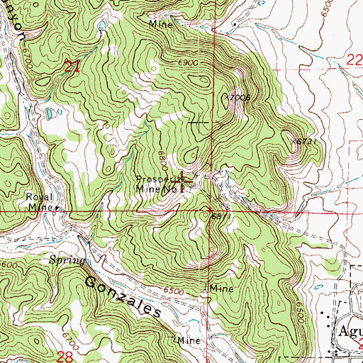 Topographic Map of Prosperity Mine, CO