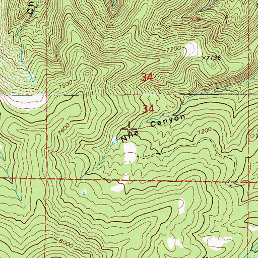 Topographic Map of Grey Creek Mine, CO