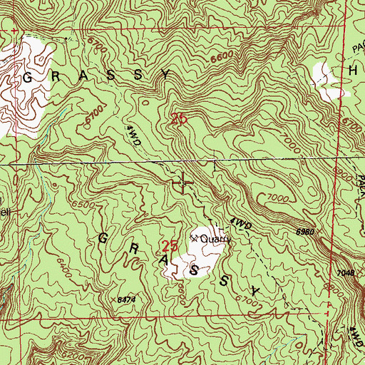 Topographic Map of Prospectors Fortune Mine, CO