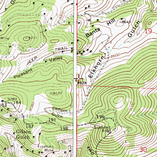 Topographic Map of Gold Bug Mine, CO