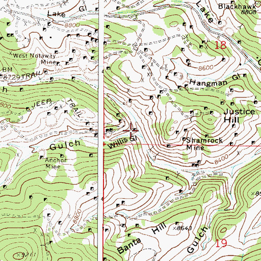 Topographic Map of Widow Woman Vein Mine, CO