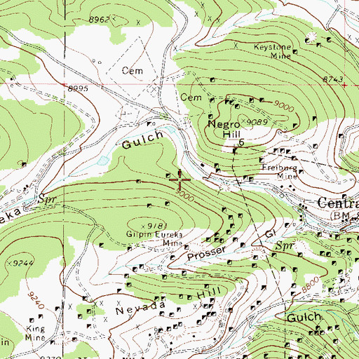 Topographic Map of Rara Avis Mine, CO