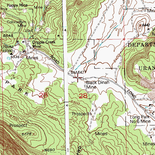 Topographic Map of Black Dinah Dump Mine, CO