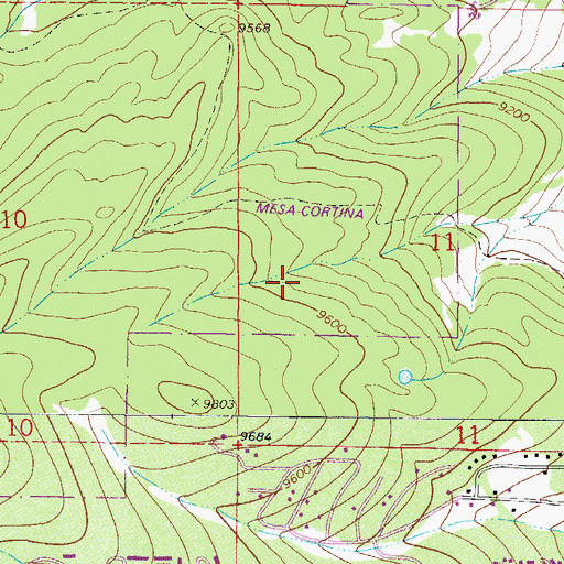 Topographic Map of Skookum Mine, CO