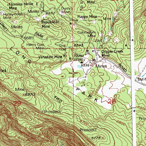 Topographic Map of Silver Dollar Mine, CO