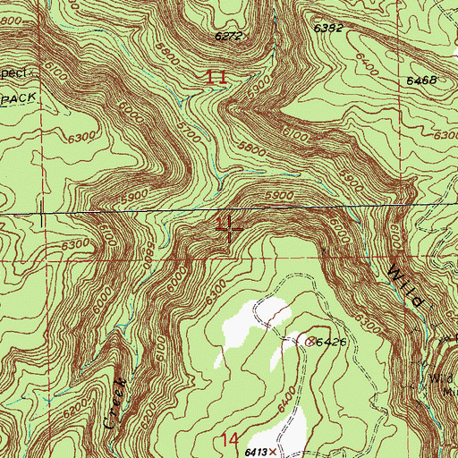 Topographic Map of San Pedro Mine, CO