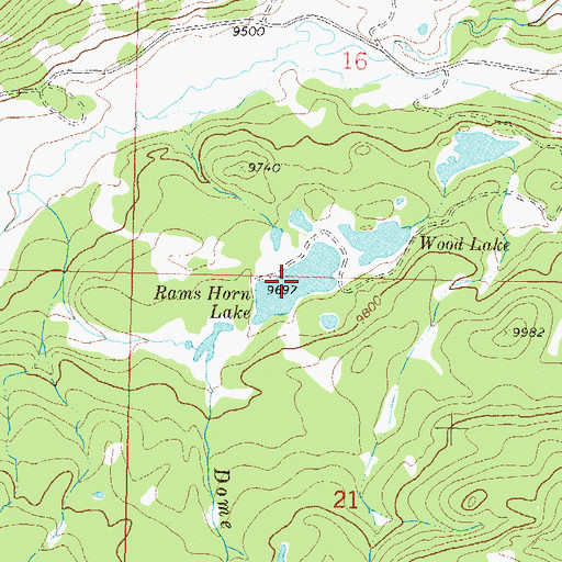 Topographic Map of Rams Horn Lake, CO