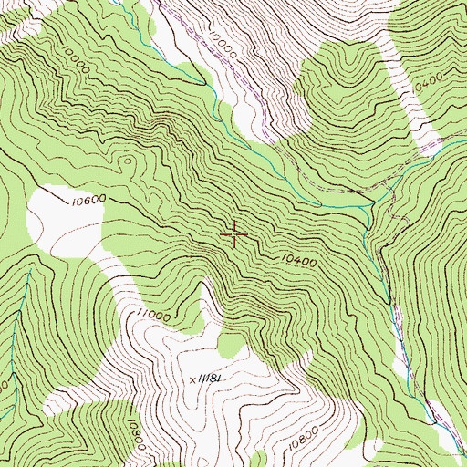 Topographic Map of Gaslight Mine, CO