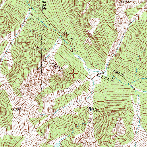 Topographic Map of Mastodon Mine, CO