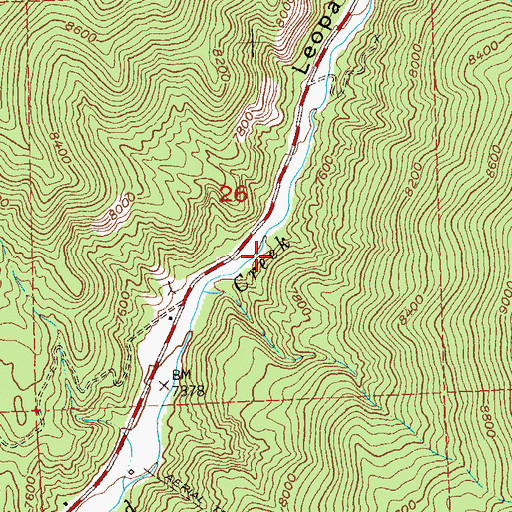 Topographic Map of Leopard Mine, CO