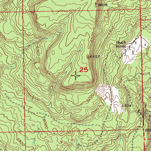 Topographic Map of Salute Mine, CO