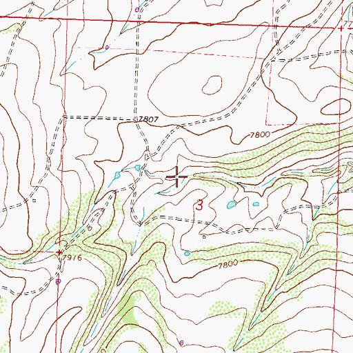 Topographic Map of Bloodsworth Gulch, CO
