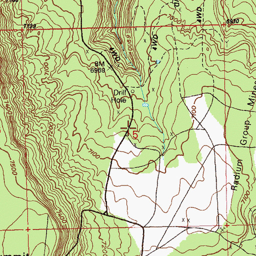 Topographic Map of Bean Mine, CO