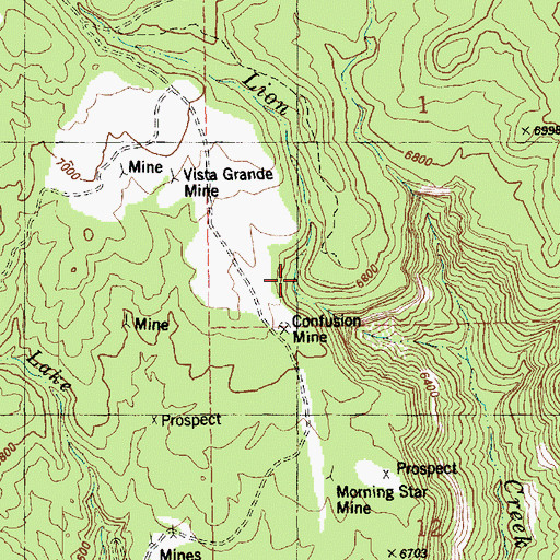 Topographic Map of Lion Creek Mine, CO