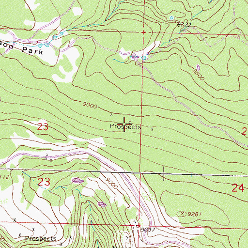 Topographic Map of Butterfly Mine, CO