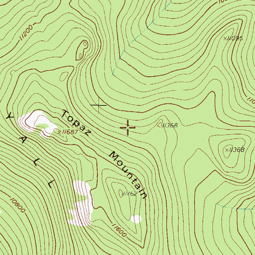 Topographic Map of Boss Mine, CO