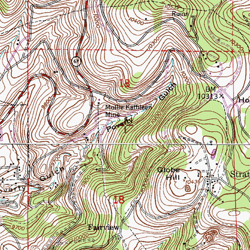 Topographic Map of C O D Mine, CO